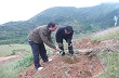 Gieo “mầm xanh” trên vùng đất gió